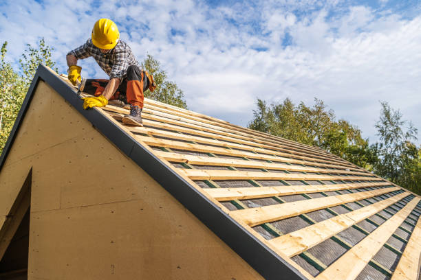 Best Gutter Installation and Roofing  in Esko, MN