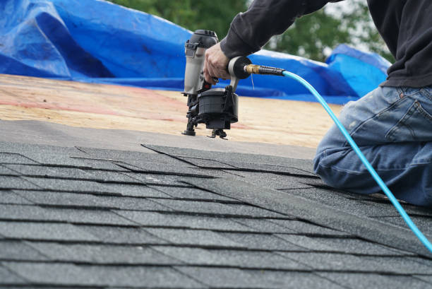 Best Roof Gutter Cleaning  in Esko, MN
